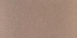 PAMESA CERAMICA 60x120(t)c Ext. Core Clay (0170220035392)