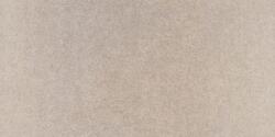 PAMESA CERAMICA 30x60(t)c Dup Core Taupe (0170210035472)