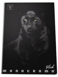 Pigna moncromo black panther a5 ponthálós notesz