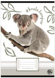 OPTISCHOOL Füzet, tűzött, A5, vonalas, 32 lap, 1. osztály, OPTISCHOOL, „14-32, „Koala (NKOP1432KO)