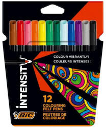 BIC Carioca 12 culori 2mm intensity Bic (BC978004)