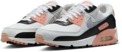 Nike Air Max 90 (dh8010-109)