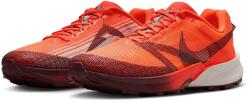 Nike Terra Kiger 10 (fv3929-800)