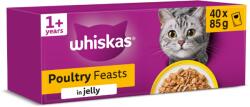 Whiskas tasakos eledel, baromfi válogatás zselében 40 × 85 g