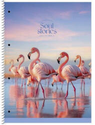 Shkolyaryk Publishing House Spirálfüzet, A4+, vonalas, 80 lap, SHKOLYARYK "Soul Stories", vegyes (SB806711L) - fapadospatron