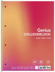 Shkolyaryk Publishing House Spirálfüzet, A4+, kockás, 80 lap, SHKOLYARYK "Genius", vegyes (SB806715K) - fapadospatron