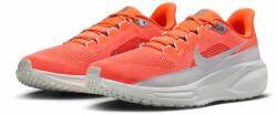 Nike Air Zoom Pegasus 41 PRM (hq2938-800)