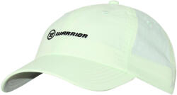 Warrior Covert Dad Hat Snap Back Lake Teal Férfibaseballsapka