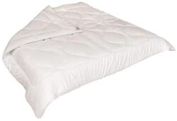 Brotex Francia takaró Brotex Aloe Vera nyár 220x200cm 660g (61229/55)