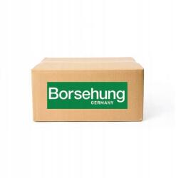 Borsehung B10272 Motorháztető zár