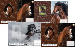 T-Creativ Füzetborító Betétes A/5 Horses (N12069THO)
