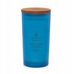 Yankee Candle Szójagyertya Confidence & Freedom Oak Moss Amber Chesapeake Bay 1 db (PT31912E)