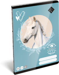 Lizzy Card Lovas tűzött füzet A/5, 32 lap sima (20-32), Lizzysuli, Wild Beauty Sport Club (LIZ-7500172004) - officetrade