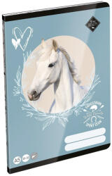 LIZZY Füzet sima LIZZYSULI A/5 32 lapos 20-32 Wild Beauty Sport Club (7500172004) - papir-bolt