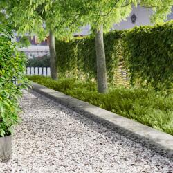 vidaXL Margine pentru gazon 10 pcs 103 x 30 cm metal Argintiu GartenMobel Dekor (8008318)