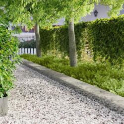 vidaXL Margine pentru gazon 20 pcs 100 x 30 cm Otel Argintiu GartenMobel Dekor (8008639)