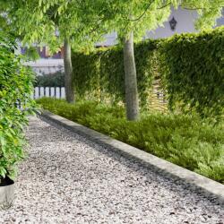 vidaXL Margine pentru gazon 20 pcs 102 x 15 x 4 cm Otel Argintiu GartenMobel Dekor (8008779)