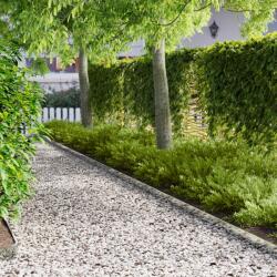 vidaXL Margine pentru gazon 30 pcs 103 x 10 cm Otel Argintiu GartenMobel Dekor (8008344)