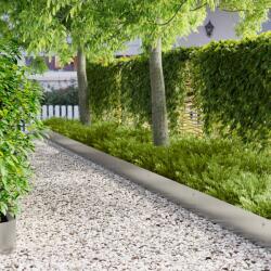 vidaXL Margine pentru gazon 30 pcs 103 x 25 cm metal Argintiu GartenMobel Dekor (8008301)