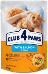 CLUB 4 PAWS Premium Lazac Szószban Nedves Macskaeledel 85 g