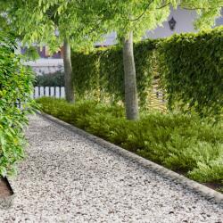 vidaXL Margine pentru gazon 50 pcs 103 x 15 cm metal Argintiu GartenMobel Dekor (8008261)