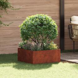 vidaXL Margine pentru gazon 60 x 60 x 35 cm Otel Ruginit GartenMobel Dekor (8008929)