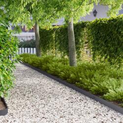 vidaXL Margine pentru gazon 30 pcs 100 x 12 cm Otel Antracit GartenMobel Dekor (8008528)