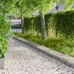 vidaXL Margine pentru gazon 10 pcs 103 x 30 cm Otel Argintiu GartenMobel Dekor (8008514)