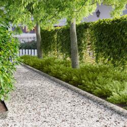 vidaXL Margine pentru gazon 20 pcs 100 x 15 cm Otel Argintiu GartenMobel Dekor (8008567)