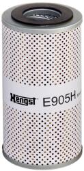 Hengst Filter Filtru ulei HENGST FILTER E905H D441 (E905H D441) - automobilus