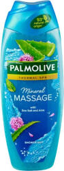 Palmolive tusfürdő Wellness Massage/Mineral Massage 500 ml (8718951424586)