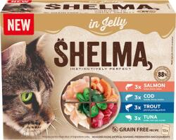 Shelma GF NM NM tasakos macskaeledel, halkeverék aszpikban, 12 × 85 g