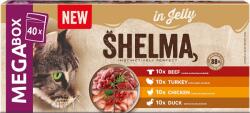 Shelma GF NM NM tasakos eledel 4 féle hússal 40 × 85 g