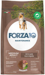 FORZA10 12kg Forza 10 Medium Maintenance bárány & rizs száraz kutyatáp