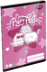 ICO ICO: LizzySuli Kittok Stars Purrfect 4. osztályos vonalas füzet A/5 21-32 (7500170002-583028)