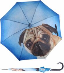 Doppler Modern Art Lazy Dog