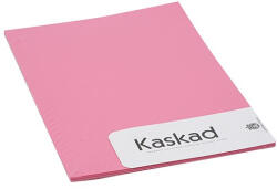 KASKAD Dekorációs karton KASKAD A/4 2 oldalas 225 g ciklámen 22 20 lapos (623822/803541)