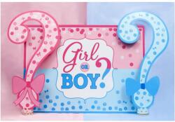 Flippy Banner pentru Petrecere, Flippy, Model Girl or Boy, Tematica Gender Reveal, 150 x 100 cm, Albastru Roz (131216)