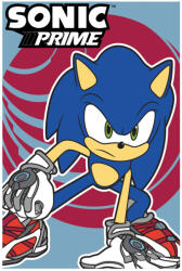 Global Licence Srl Sonic a sündisznó polár takaró - 100 x 150 cm