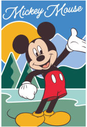 Global Licence Srl Disney Mickey egér polár takaró - 100 x 150 cm