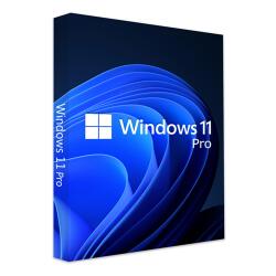 Microsoft MS Windows 11 Professional 64bit HU OEM COA operációs rendszer (W11PRO)