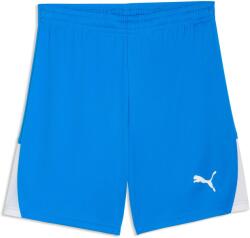 PUMA Teamliga 26 Shorts (70655402)