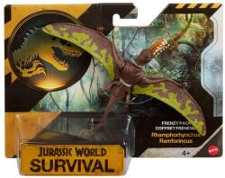 Mattel Figurina articulata, Jurassic World Survival, Rhamphorhynchus, JKL63 Figurina
