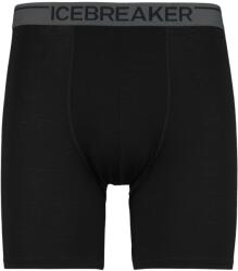 Icebreaker Мъжко мериносово термобельо Icebreaker Anatomica Long Boxers Merino base layer - Black II - размер XL (015-1797-0314)