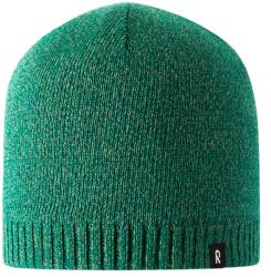Reima Детска зимна шапка (beanie) Reima Kid's Latvusto Beanie - Deeper Green - размер 48-50 cm (904-2069-0513)