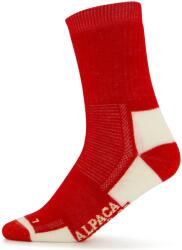 Alpacasocks&Co Детски спортни чорапи Alpacasocks&Co Merino Kids Sports socks - Rubino / Latte - размер 27-30 (EU) (201-7549-0313)