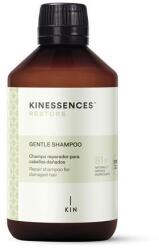  Kinessences Restore mélyen és tartósan regeneráló sampon sérült hajra - 300ml