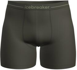 Icebreaker Мъжко мериносово термобельо Icebreaker Anatomica Boxers Merino base layer - Dark Loden (015-1155-5711)