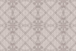  Tökéletes szimmetria - vonalak hurkok görbék "rózsaablak" geometriai hálója világosbézs és grafit/barna/szürkésbarna tónus falpanel (DD134448)
