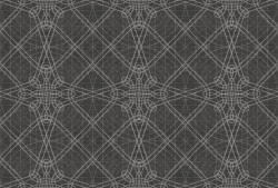  Tökéletes szimmetria - vonalak hurkok görbék "rózsaablak" geometriai hálója antracit/szénfekete hamuszürke és ezüstfehér tónus falpanel (DD134454)